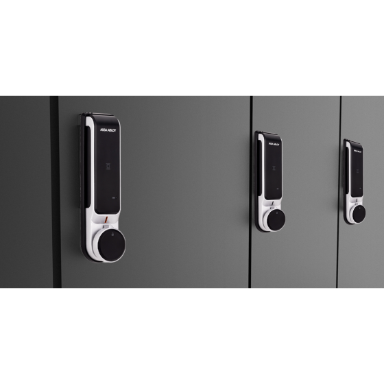 ASSA ABLOY DIGITAL CABINET READER LOCK W/BATTERIES - VERTICAL W/2 X RF CARD
