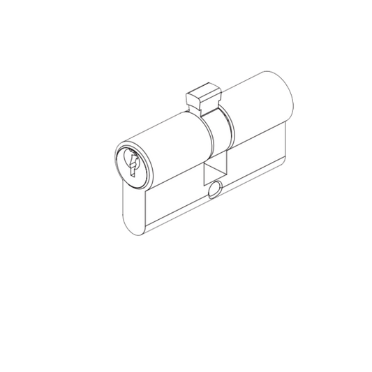 EURO CYLINDER FIXED CAM 5PIN KEY/KEY 31/31 - SATIN CHROME
