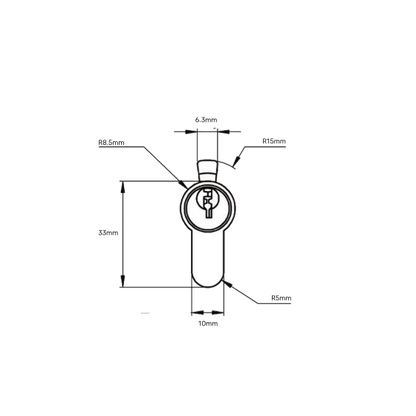 EURO CYLINDER FIXED CAM 5PIN KEY WITH TURN 31/31 - SATIN CHROME